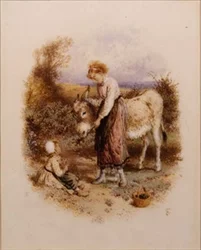 krmení osel