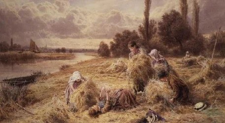Senoseč