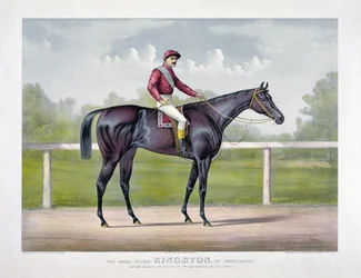 Grand Racer Kingston od Spendthrift od Currier & Ives