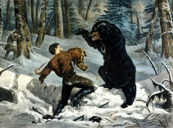 The Life of Trappers (Professional Hunters) v Kanadě: Lovec je napaden medvědem grizzlym. Ilustrace Yves a Currier.