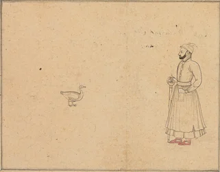 Raja Balwant Dev Singh a labuť, kolem 1750-55