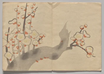 Scéna z Kōrin Picture Book (svazek 2)