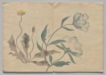 Scéna z Kōrin Picture Book (svazek 2)