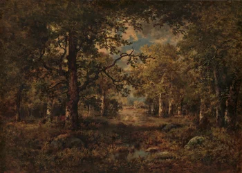 Pohled přes stromy: Fontainebleau, 1873.