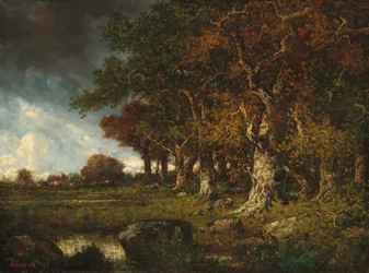 Okraj lesa v Les Monts-Girard, Fontainebleau