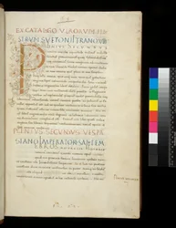 Paní 394,1. Plinius starší, Historia naturalis, f.1r. Iluminovaná iniciála [P] s bílou výzdobou vinné révy (nedokončeno), Neapol, polovina 15. století, kolem 1442 (pergamen)