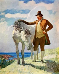 Kůň a majitel