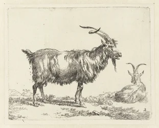 Dvě kozy Geiten (název série) Zvířata přitažená k životu a vytištěná ve vodě silným vzduchem Studio and Art of Nicolai Berchem (název série)
