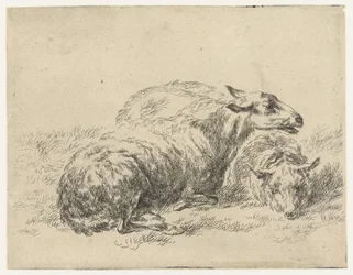 Twee ligende schapen Schapen (název série) Zvířata přitažená k životu a vytištěná ve vodě silným vzduchem Studio and Art of Nicolai Berchem (název série)