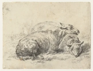 Twee ligende schapen ovce (název série) Zvířata oživená a vytištěná vodou pro silný vzduch od Studio and Art of Nicolai Berchem (název série)