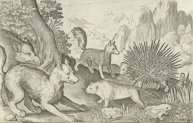 Divoká prasata, lišky, bobři, dikobrazi a žáby. 1621