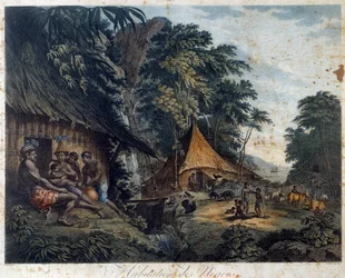 Domov černochů