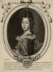 Marie Terezie de Bourbon, kněžna z Conti
