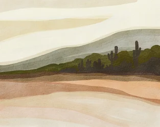 Pouštní kopce Saguaro