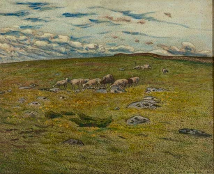 Pasoucí se ovce