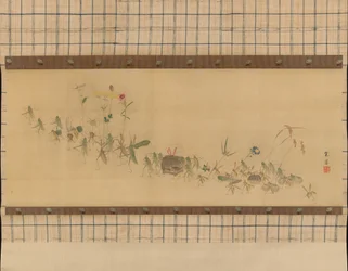 Procesí hmyzu, 19. století.
