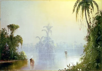 Tropický opar, 1879