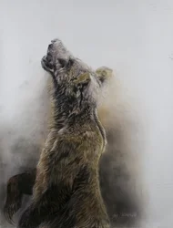 Medvěd grizzly 3, 2009 (uhel, conte a křídový pastel na papíře Fabriano)
