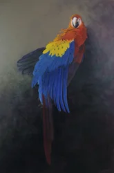Makak šarlatový 3, 2014 (akryl na plátně)