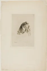 Z knih