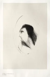 The Haunted House: The Width and Flatness of [the] Frontal [Bone], 1896.