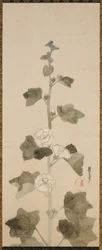 Hollyhocks bílé, období Edo, konec 17.-začátek 18. století.