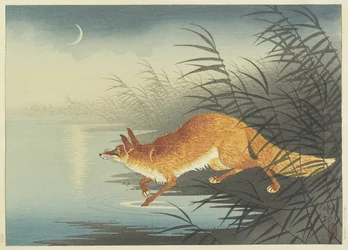 Fox by the Moonlit Water, 30. léta 20. století (barevný dřevořez)