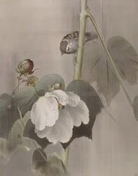 Cotton Rose Mallows in the Rain, ca. 1891-92.