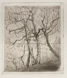 Woods by the Lake, 1878.