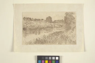 O Bronxu