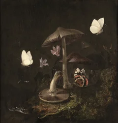 "Sotto bosco" s houbami, motýly, vážkou, hadem a ještěrkou (olej na plátně)