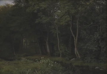 Soumrak nastavení v lese poblíž Iselingen Manor, Zéland