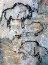 Zraněný bizon, magdalénien (jeskynní malba)
