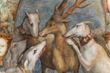 Aktaión, proměněný v jelena, je sežrán vlastními psy, ze sálu Diany a Aktaióna, severní stěna, detail z 2384753