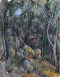 In the Grounds of Chateau Noir - Cezanne, Paul (1839-1906) The Grounds of the Chateau Noir Olej na plátně um 1900-1904 Národní galerie, Londýn 90,7x71,4