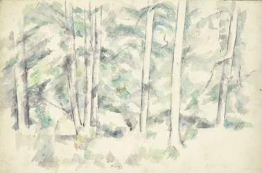 Les, kolem roku 1890