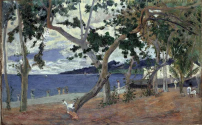 Na pobřeží, Martinik par Gauguin, Paul Eugene Henri (1848-1903). Olej na plátně, rozměr: 54x90