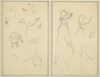 Husy; Girls in Bonnets, Husy [recto]