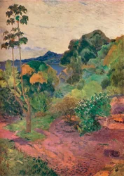 Krajina na Martiniku, 1887