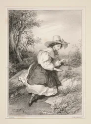 Dvě Paquerettes.