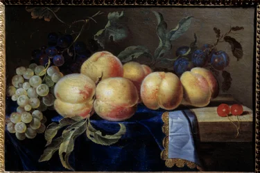 Zátiší, Pechesi. Obraz Paula Liegeoise (17. století) Sun. 0,31x0,47 m Rouen, musee des Beaux Arts