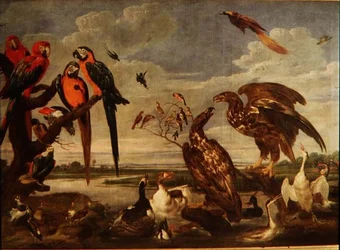 131-0059359 Variety of Birds   1422509   cs       czech Successfully Translated  Original: Queen Elizabeth I Translat: Queen Elizabeth I 1301728 cs czech Successfully Translated Original: Illustration for The Language Of Flowers (chromolitho) Translat: Ill