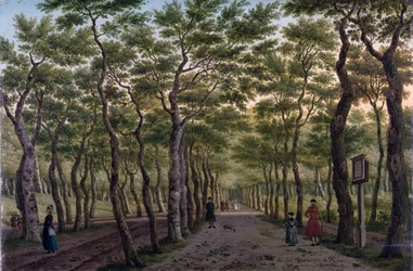 Herepad v Haagse Bos