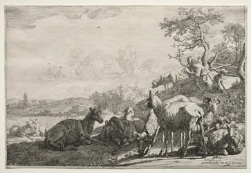 Pastýř, 1644.