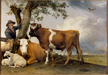 Mladý býk. Pastýř a jeho dobytek: beran, jehně, kráva a býk. Obraz Paula Pottera (1625-1654), 1647. Plátno. 2,36 x 3,39 m. Haag, Mauritshuis.