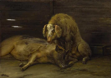 Dvě prasata v chlívku, 1649