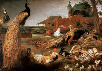 „Vrána v pavích perech“, kolem 1615-1690