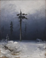Strom v zimním lese