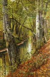 Zalesněná říční krajina