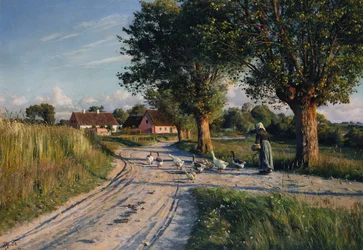 Cesta domů